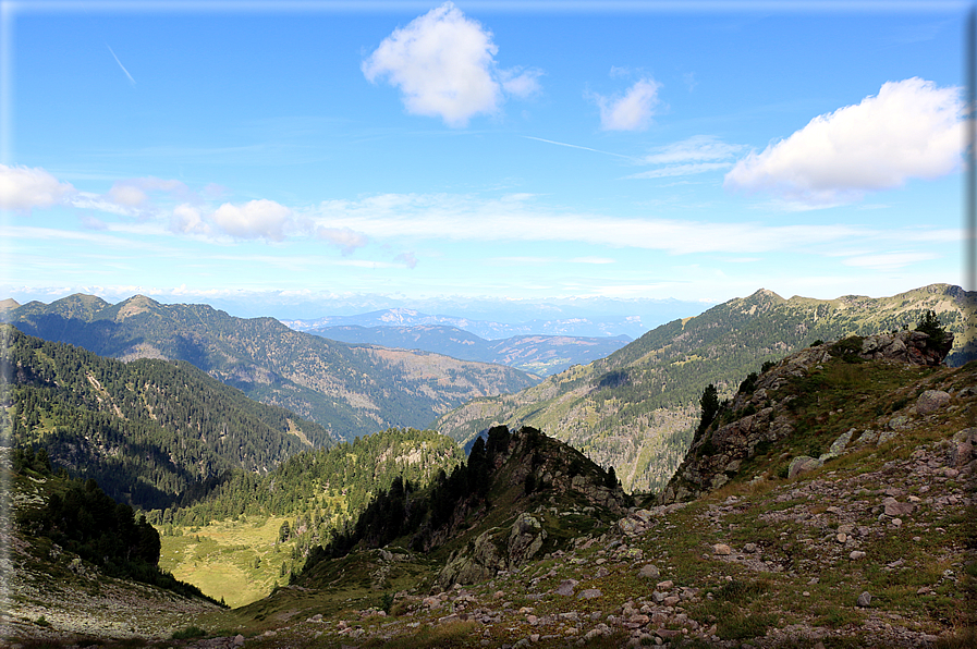 foto Forcella Pala del Becco